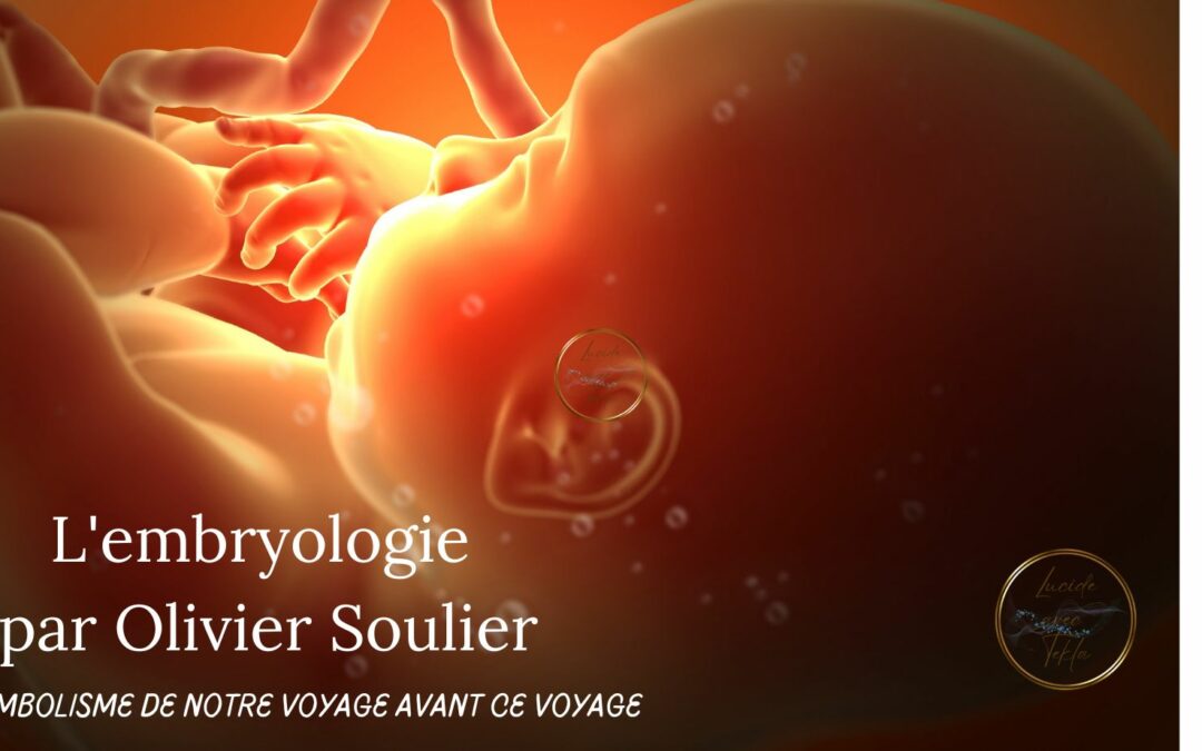 L’embryologie par Olivier Soulier
